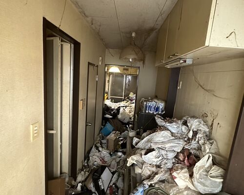 ゴミ屋敷